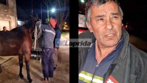 Los Bomberos rescataron a un caballo atrapado