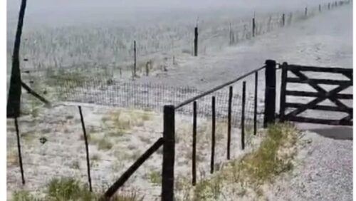 La Madrid: estiman millonarias pérdidas en campos por el temporal